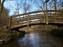 Foto brug als symbool voor mediation
